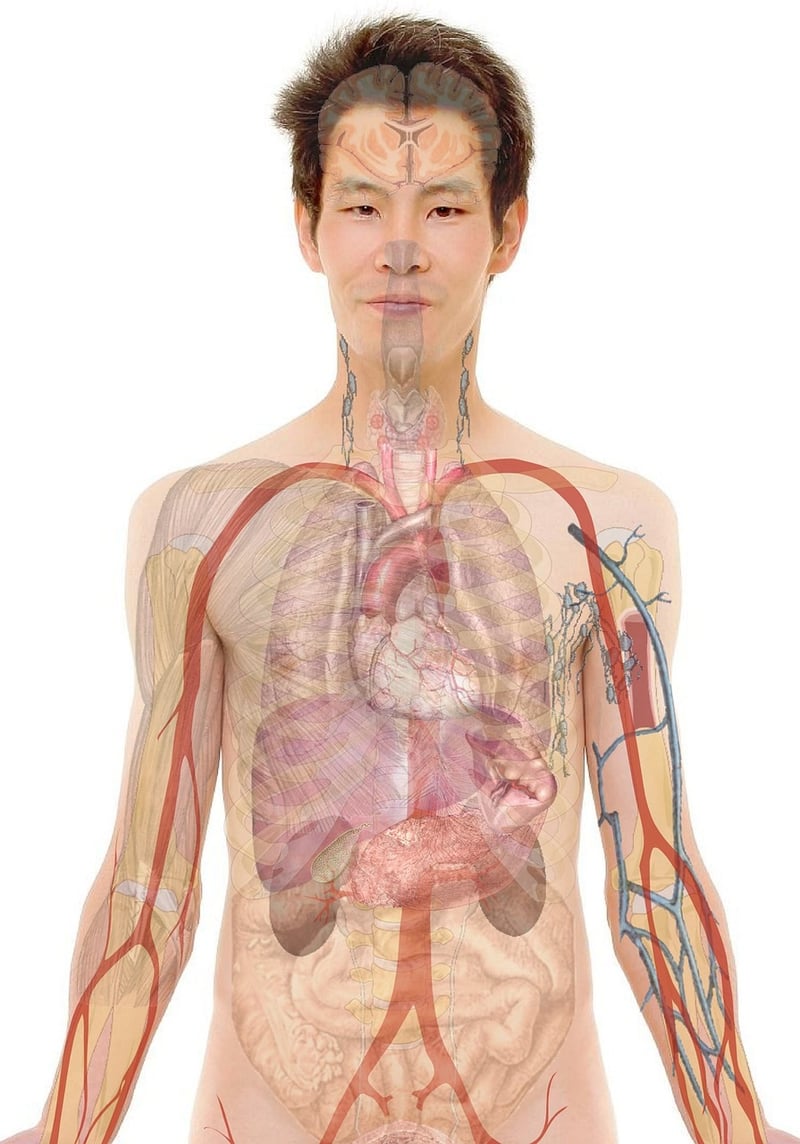Mind-Body Scan