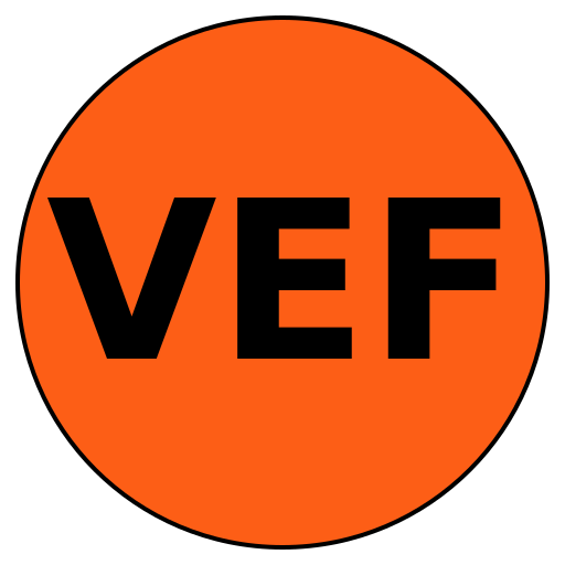 VisionElite Fitness